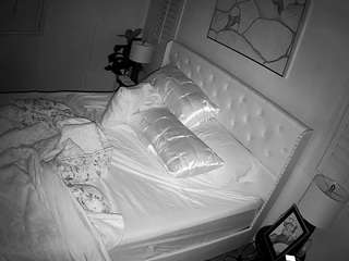 voyeurcam-whitneyoc-01