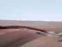 Soy una chica juguetona y sumisa . Me encanta el sexo